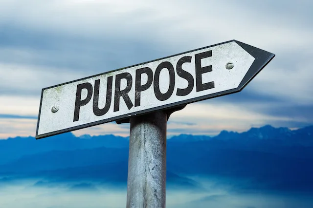 Purpose over Politics.